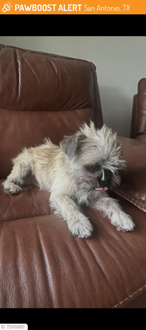 Found/Stray Male Dog last seen Oak Hill near Ingram Ranch apmts, San Antonio, TX 78238