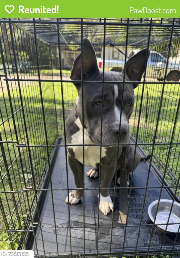 Reunited Male Dog last seen Sending to kennel, Cleburne, TX 76033