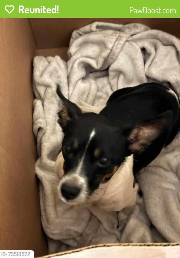 Reunited Unknown Dog last seen AMC Ontario Mills, Ontario, CA 91764