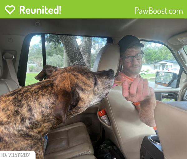 Reunited Male Dog last seen Oak Hollow Lane, Branton Drive, Aloma Woods, Seminole County, FL 32765