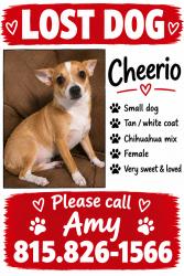 Lost Female Dog last seen Norvell Bryant and forest ridge, Pine Ridge, FL 34461
