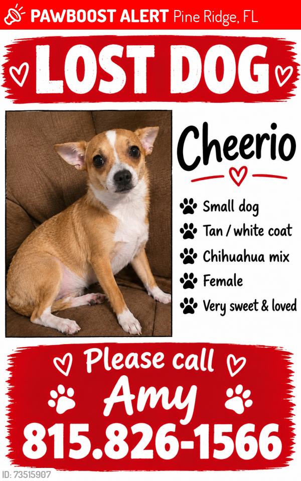 Lost Female Dog last seen Norvell Bryant and forest ridge, Pine Ridge, FL 34461