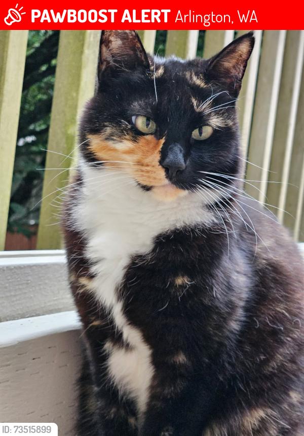 Lost Female Cat last seen Vineway Pl & Woodland Way, Arlington, WA 98223
