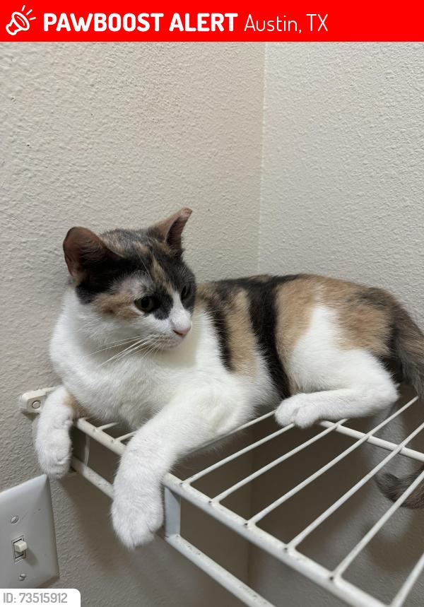 Lost Female Cat last seen Southpark ranch apartments - 9401 S 1st, Austin, TX 78748