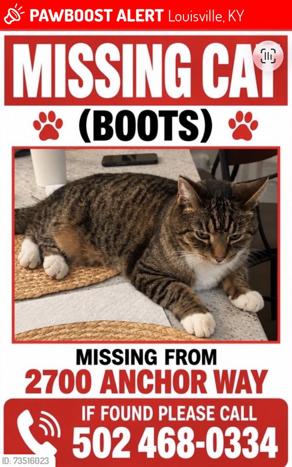 Lost Male Cat last seen Anchor Way, Louisville, KY 40223