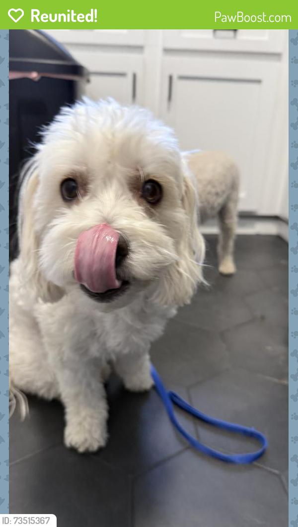 Reunited Unknown Dog last seen Butterfield Stage Rd, Temecula, CA, USA, Temecula, CA 92592