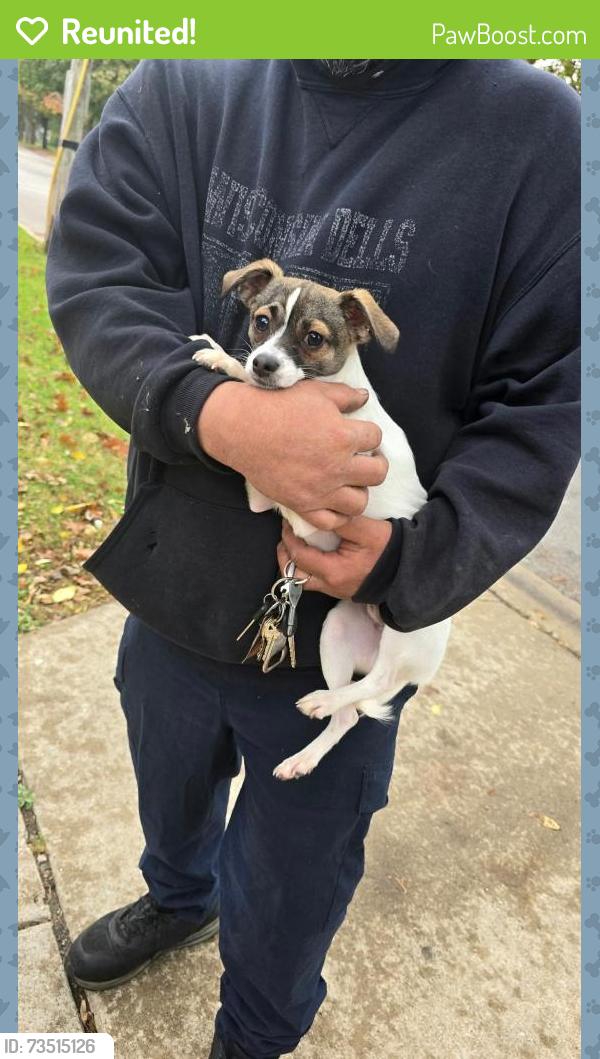 Reunited Male Dog last seen East and Galena BLVD, Aurora, IL 60506