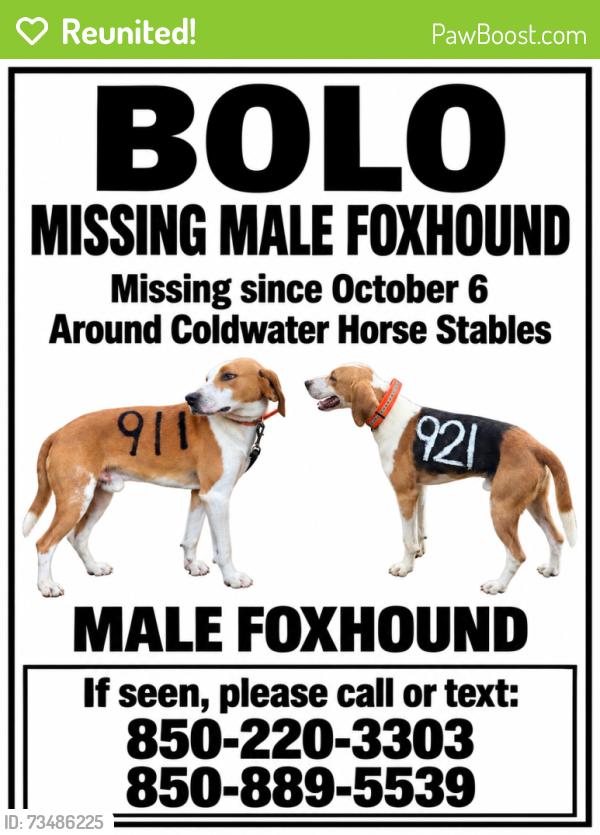 Reunited Male Dog last seen Gordon land rd buddy hardy rd friendship rd 3 notch trail lewis rd christmas tree rd Fleming bridge rd hwy 4 hwy 87, Santa Rosa County, FL 32570