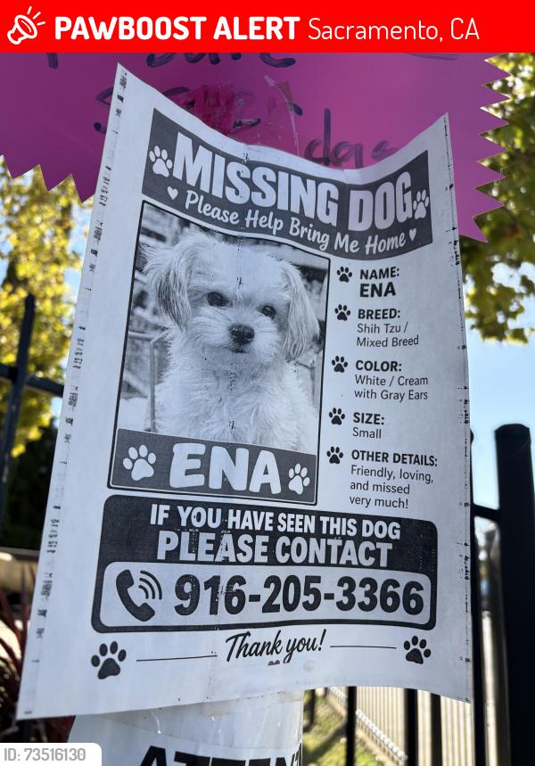 Lost Female Dog last seen Near th st, Sacramento, CA 95820