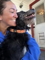 Reunited Male Dog last seen Midland and Roosevelt, Nampa, ID 83686