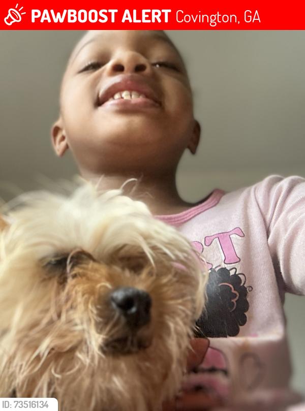 Lost Female Dog last seen Oak Hill, Covington, GA 30016