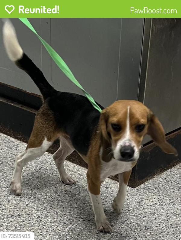 Reunited Male Dog last seen port st. lucie, Port St. Lucie, FL 34986