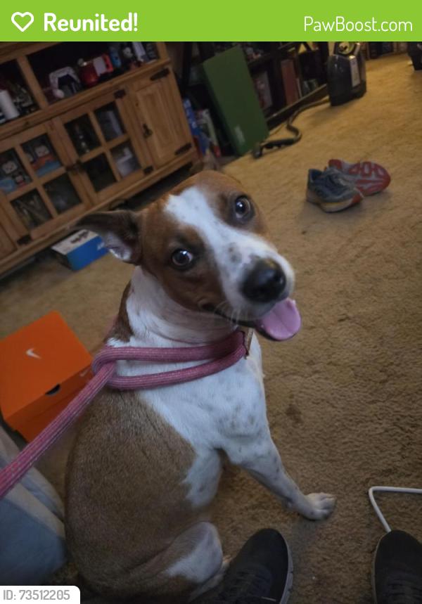Reunited Female Dog last seen Reno and Czech hall rd, Yukon, OK 73099