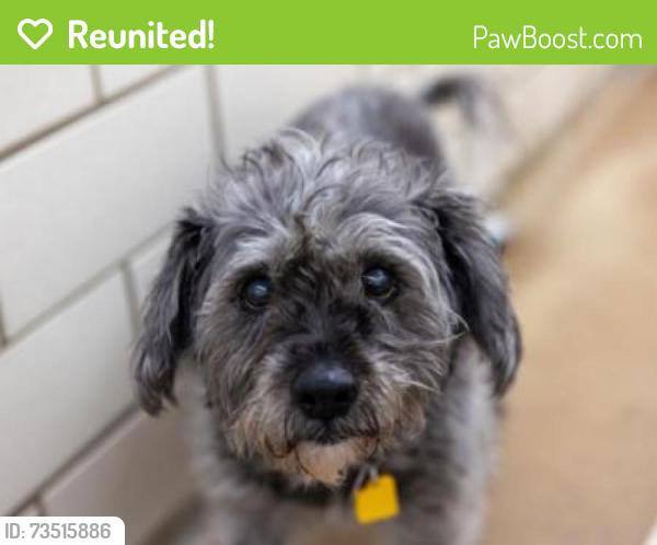 Reunited Female Dog last seen Cretin Durham Hall, Saint Paul, MN 55116