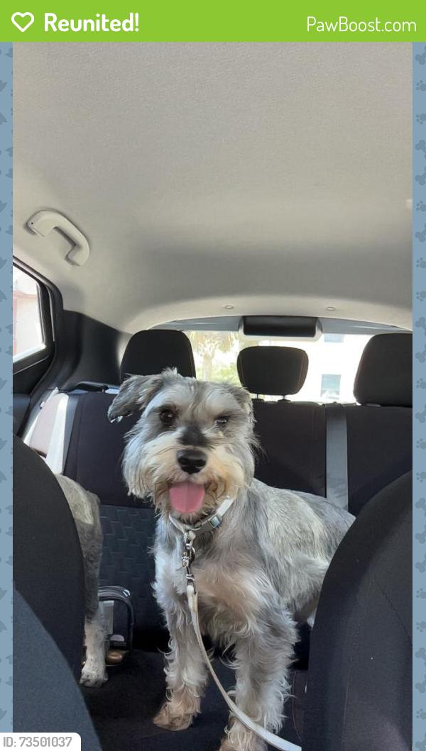 Reunited Male Dog last seen Perkins Middle School, Brownsville, TX 78521