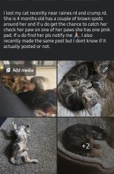 Reunited Female Cat last seen Rosewind Cir, Memphis, TN 38141