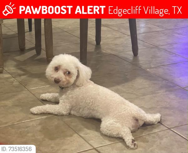 Lost Male Dog last seen Whittenburg, Edgecliff Village, TX 76134