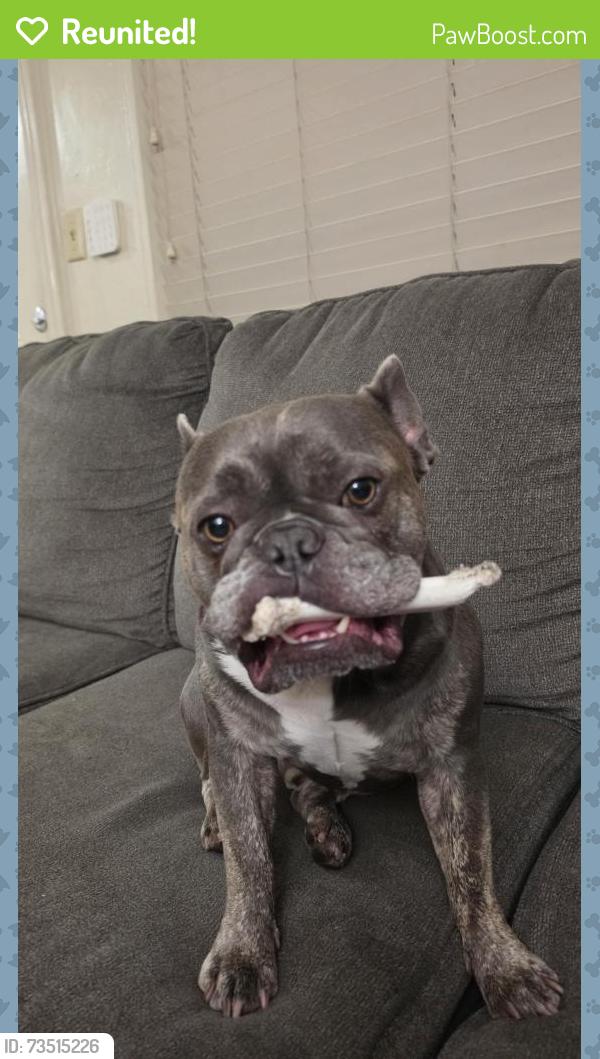 Reunited Male Dog last seen Winchester, San Jose, CA 95128