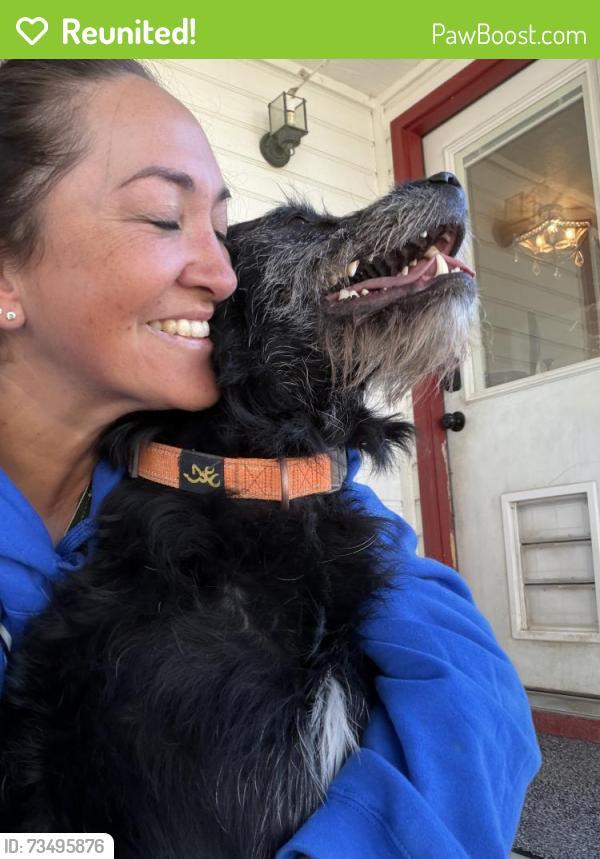 Reunited Male Dog last seen Midland and Roosevelt, Nampa, ID 83686