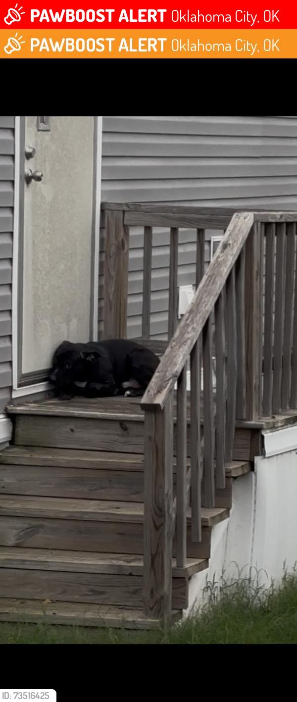 Lost Male Dog last seen Lake overholser, Oklahoma City, OK 73127