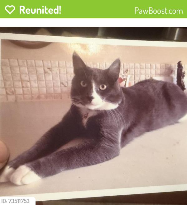 Reunited Male Cat last seen 135Ave and 112 Street, Edmonton, AB T5E 5A4
