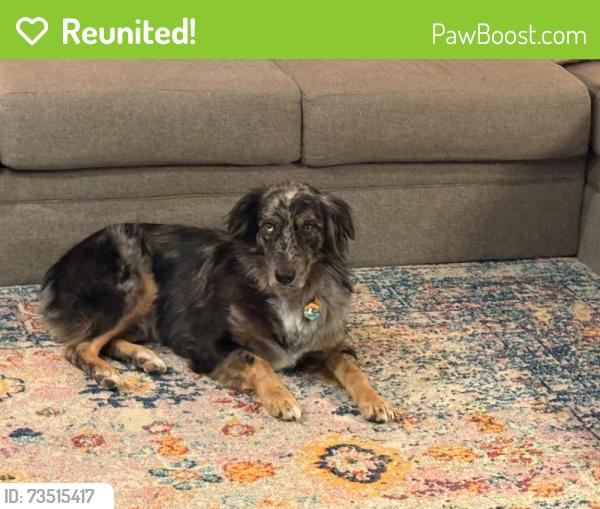 Reunited Male Dog last seen 59th and Post, Oklahoma City, OK 73150