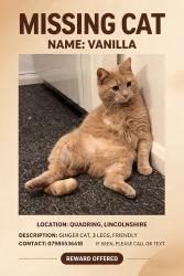 Lost Male Cat last seen Quadring, Lincolnshire, England PE11 4GY