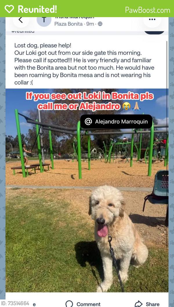 Reunited Male Dog last seen Bonita Mesa Rd, Bonita, CA 91902, USA, Bonita, CA 91902