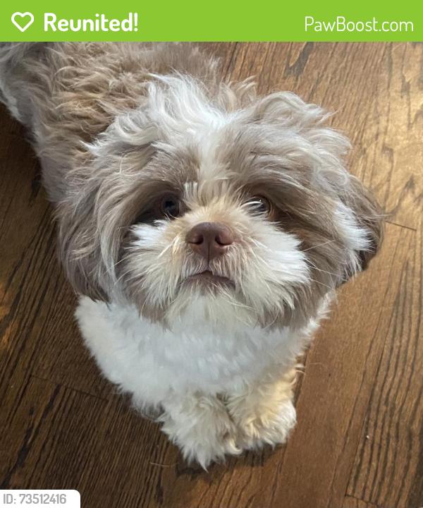 Reunited Male Dog last seen Near 4th street port reading, NJ 07064, Woodbridge Township, NJ 07064