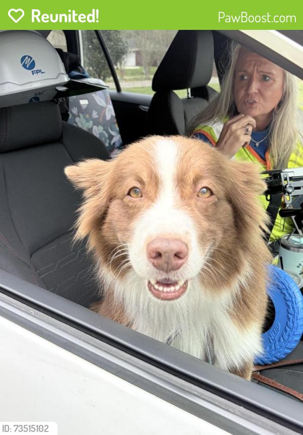 Reunited Male Dog last seen Milton Florida, Milton, FL 32571