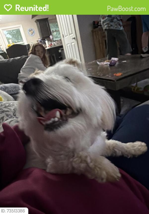 Reunited Female Dog last seen Featherston Dr, Lexington, KY 40515