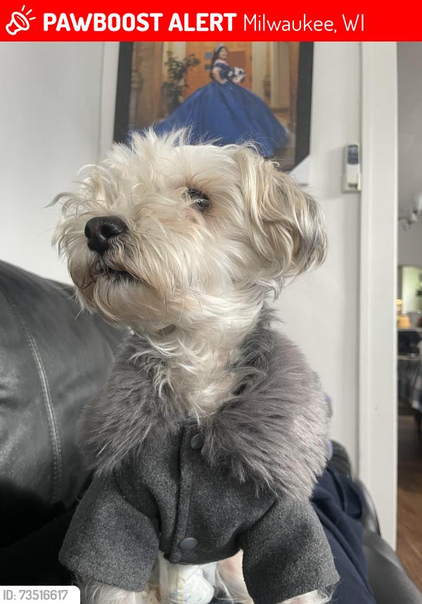 Lost Female Dog last seen 27th and greenfield, Milwaukee, WI 53215