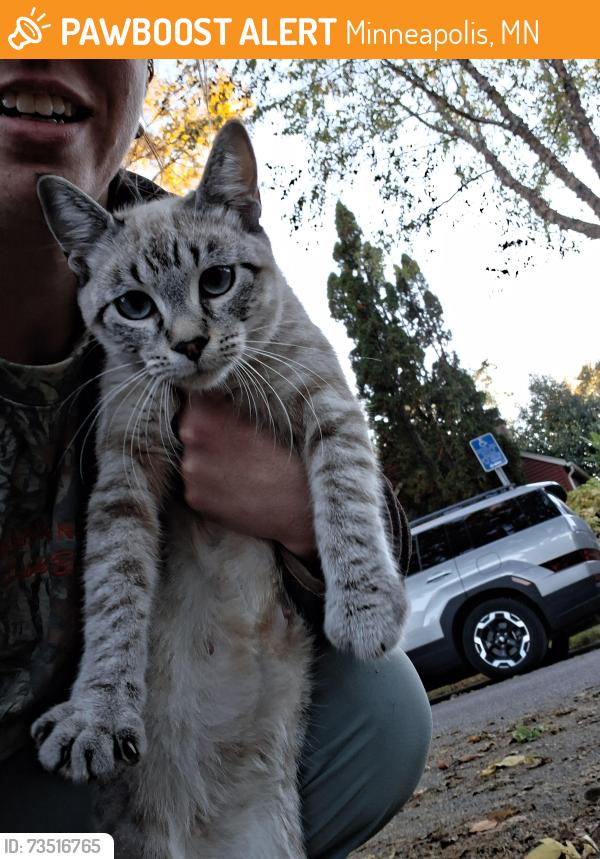 Found/Stray Female Cat last seen Near Sheridan Ave N, Minneapolis, MN 55411