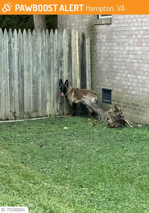 Found/Stray Unknown Dog last seen Revere Dr., Hampton, VA 23664