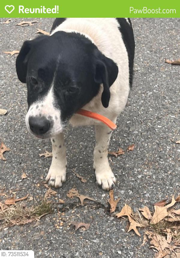 Reunited Male Dog last seen Rural point, Mechanicsville, VA 23116