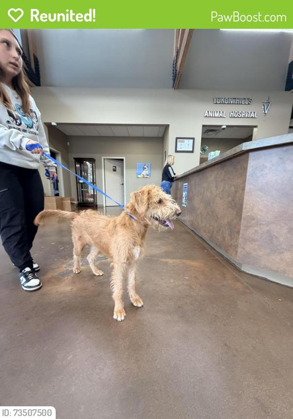Reunited Female Dog last seen Yukon Hills Animal hosp, Yukon, OK 73099