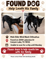 Reunited Male Dog last seen Near Lakeview dr, Canyon Lake, TX 78133