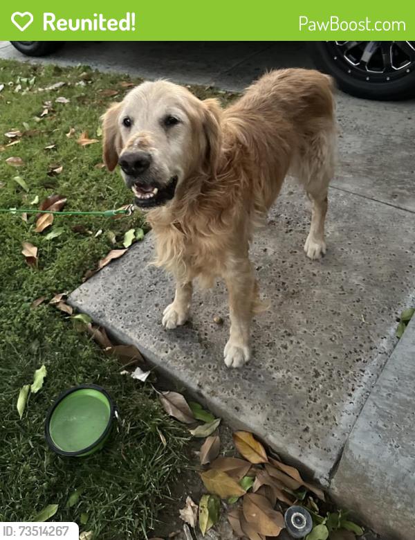 Reunited Male Dog last seen Riverslope St. and Olsen Ct., Riverside, CA 92505