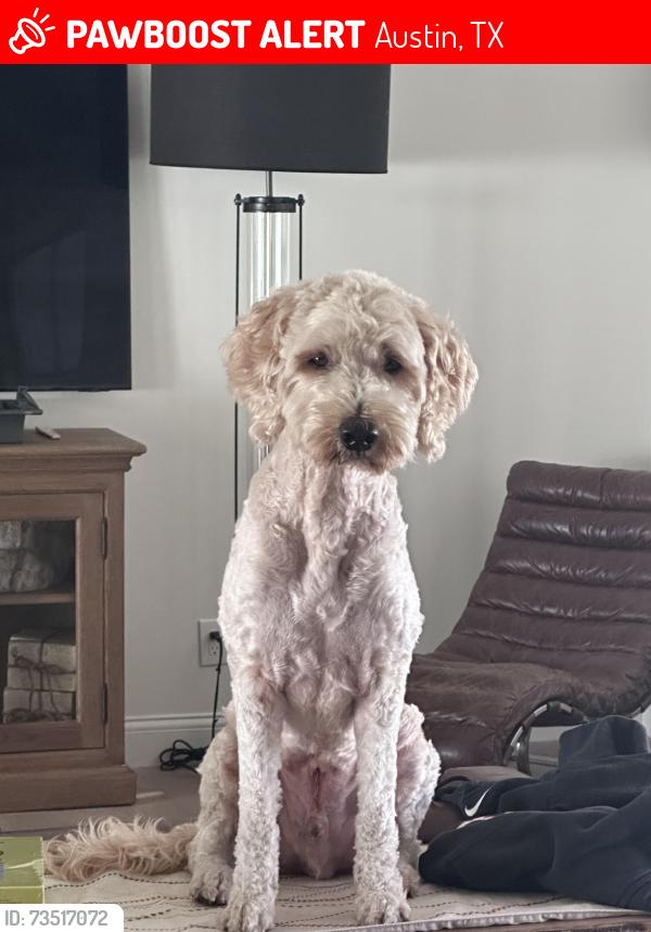 Lost Male Dog last seen Cinnamon Path and S Lamar BLVD, Austin, TX 78704
