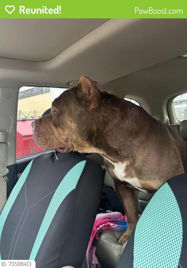 Reunited Male Dog last seen Eastview Daycare daycare, Regina, SK 