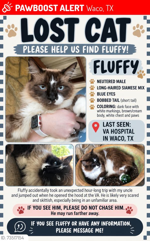 Lost Male Cat last seen VA hosp, Waco, TX 76711