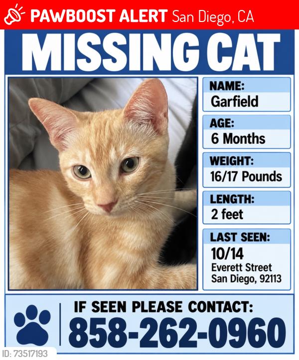 Lost Male Cat last seen Everett Street 92113, San Diego, CA 92113
