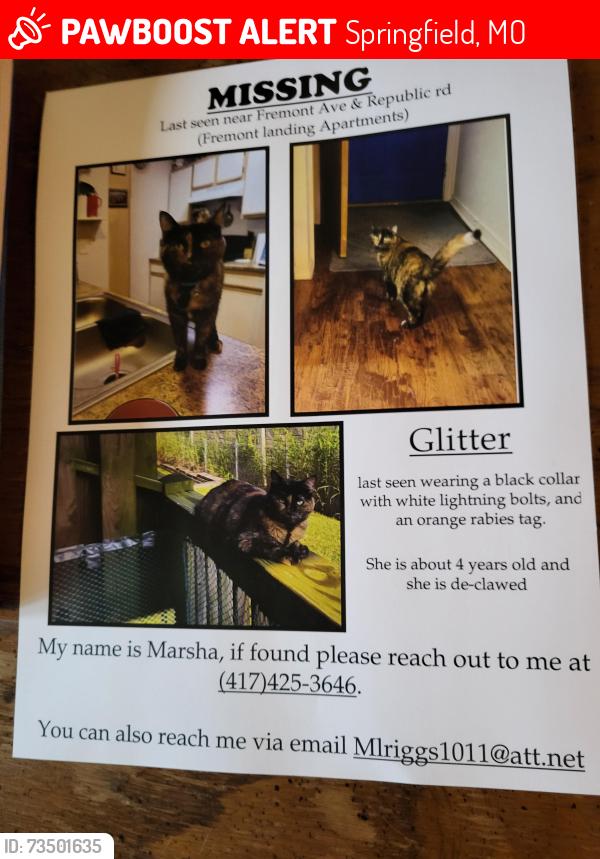 Lost Female Cat last seen Fremont ave & Republic Rd, Springfield, MO 65804
