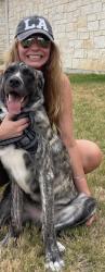 Lost Male Dog last seen Surfside Beach, Surfside Beach, TX 77541