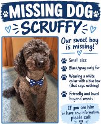Lost Male Dog last seen Picacho/Burke Road, Las Cruces, NM 88007