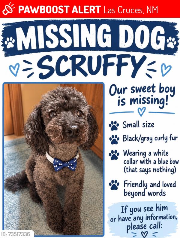 Lost Male Dog last seen Picacho/Burke Road, Las Cruces, NM 88007