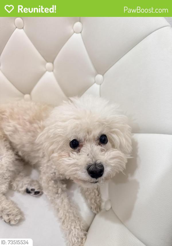 Reunited Female Dog last seen Shinnecock hills, Las Vegas, NV 89141