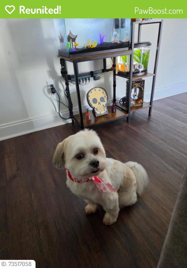 Reunited Male Dog last seen Old Nashville Hyw & Florence Rd, Murfreesboro, TN 37129