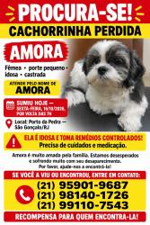 Lost Female Dog last seen Porto da pedra São Gonçalo, São Gonçalo, RJ 