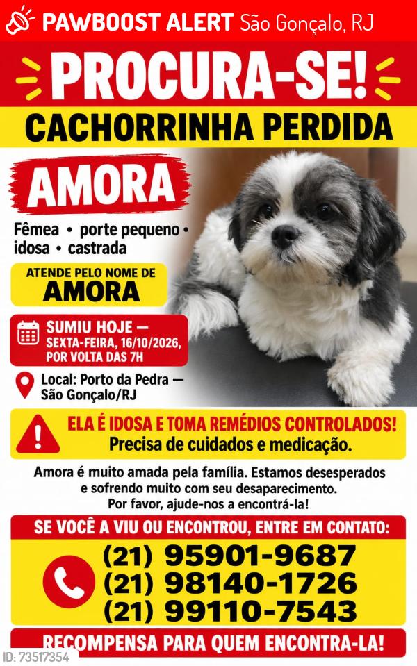 Lost Female Dog last seen Porto da pedra São Gonçalo, São Gonçalo, RJ 